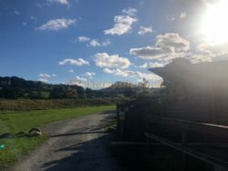 Bwch Yn Uchaf
