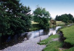 Bwch Yn Uchaf