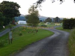 Bwch Yn Uchaf