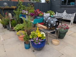 Cartref Caravan And Camping