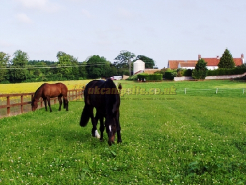 Whitehall Farm Certificated Location