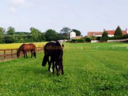 Whitehall Farm Certificated Location