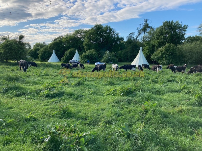 White House Farm Glamping
