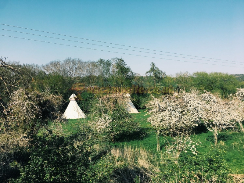 White House Farm Glamping