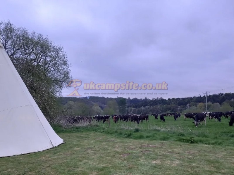 White House Farm Glamping