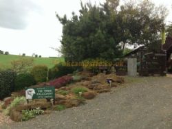 Fir Tree Farm Caravan Site