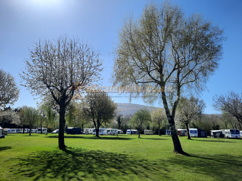 Pyscodlyn Farm Caravan And Camping Park