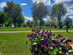 Pyscodlyn Farm Caravan And Camping Park