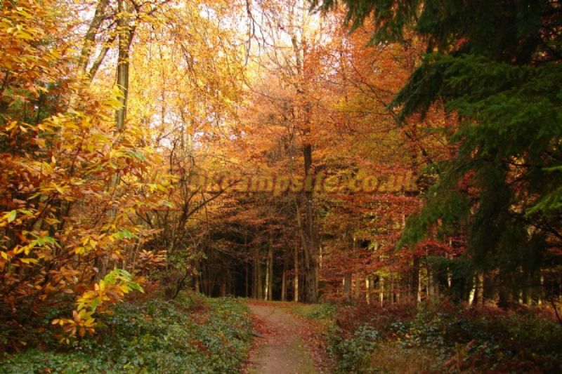 Hawthorne Cottage Caravan Site