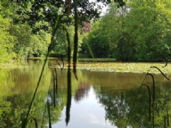 Hayles Fruit Farm Campsite