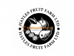 Hayles Fruit Farm Campsite