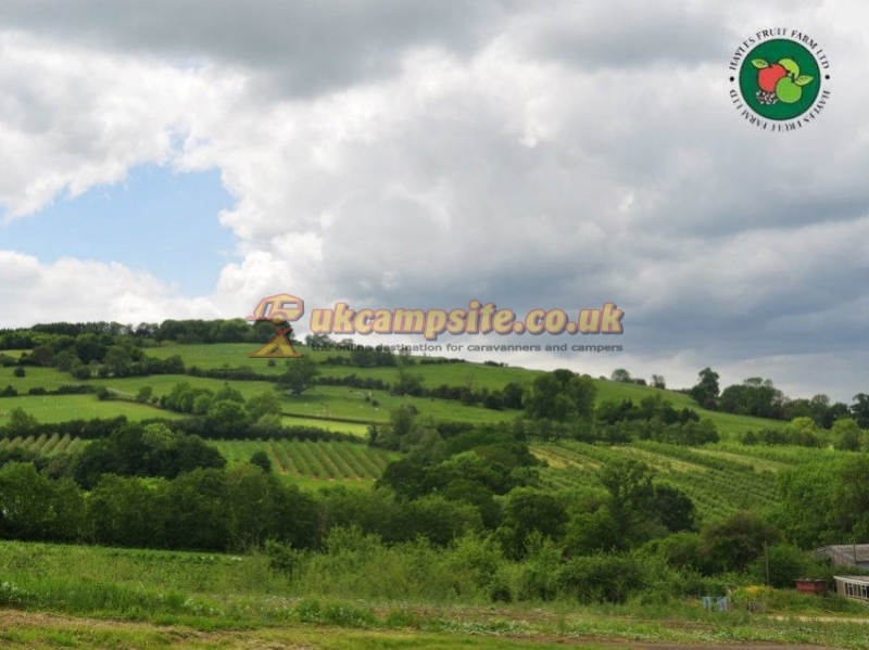 Hayles Fruit Farm Campsite