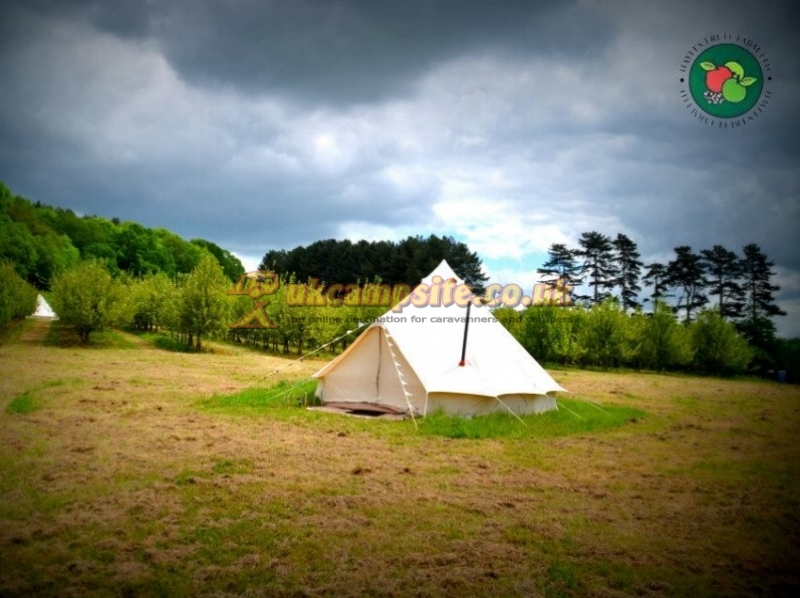 Hayles Fruit Farm Campsite
