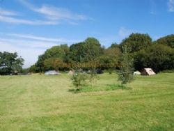 Hayles Fruit Farm Campsite