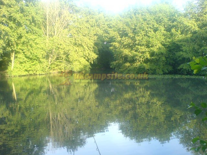 Hayles Fruit Farm Campsite