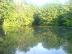 Hayles Fruit Farm Campsite