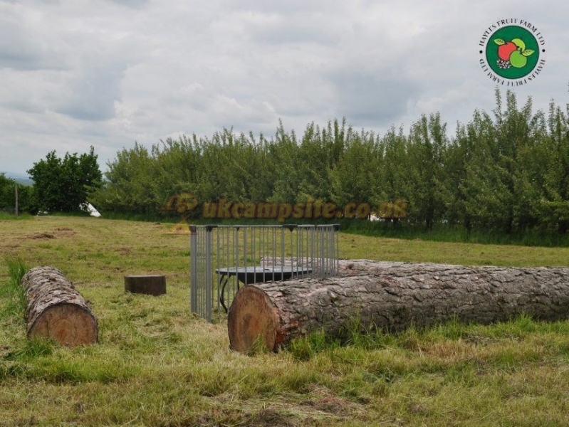 Hayles Fruit Farm Campsite