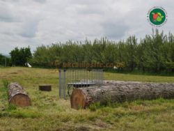 Hayles Fruit Farm Campsite