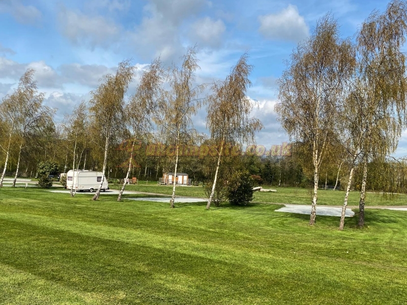 Hayles Fruit Farm Campsite