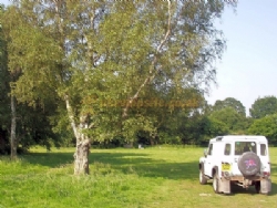 Cobbs Meadow Certificated Location