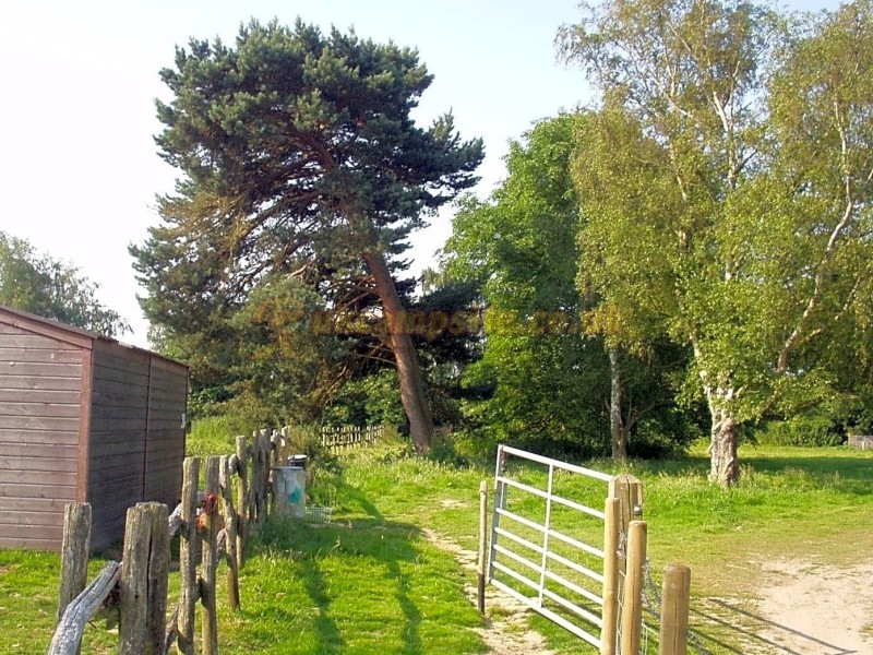 Cobbs Meadow Certificated Location