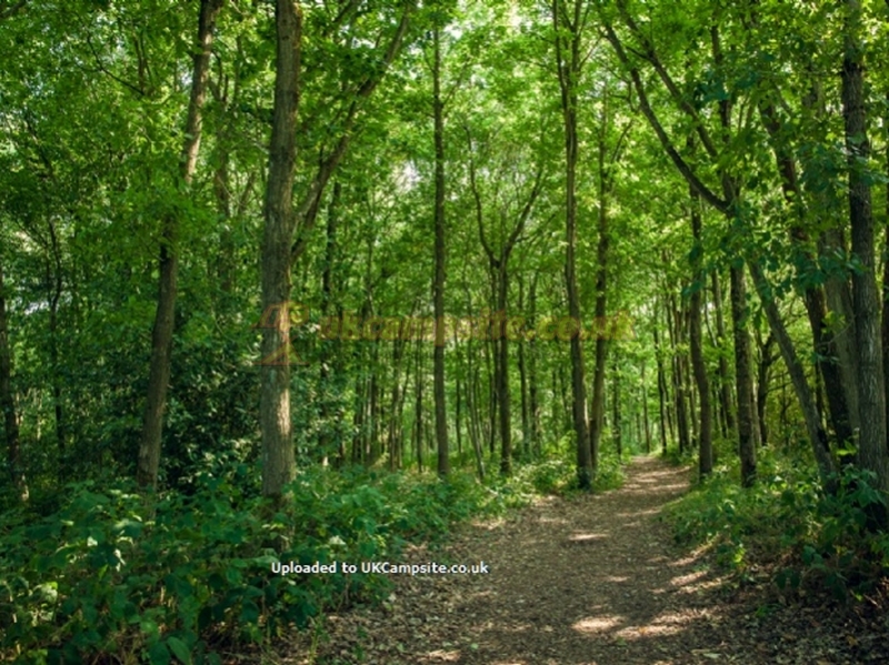 Sumners Ponds Fishery And Campsite