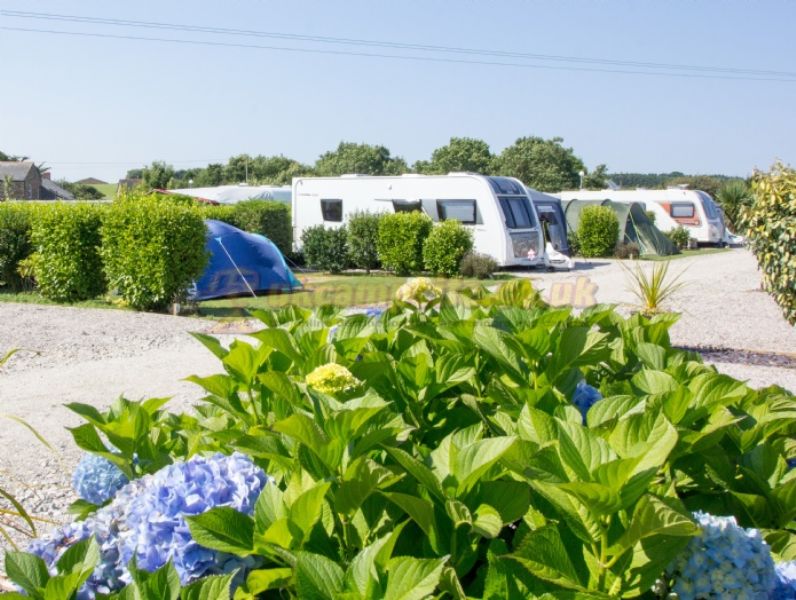 The Laurels Holiday Park