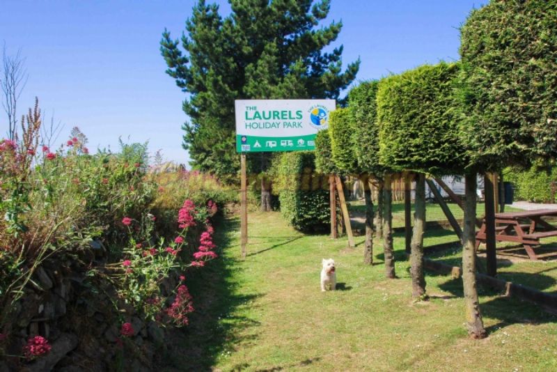 The Laurels Holiday Park