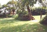Tamar Lake Farm