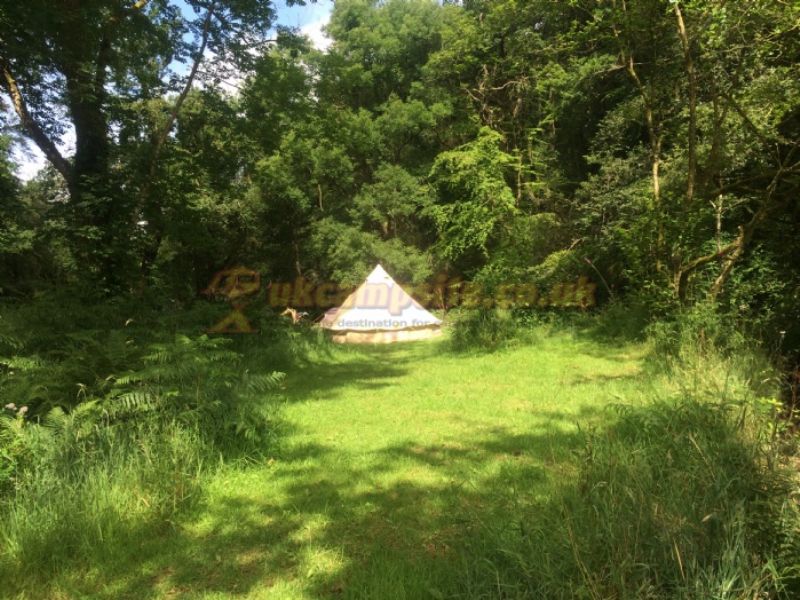 Pool Bridge Camp Site