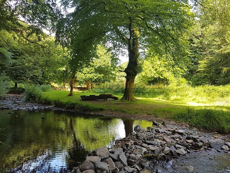 Pool Bridge Camp Site