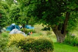 Batcombe Vale Campsite And Camping
