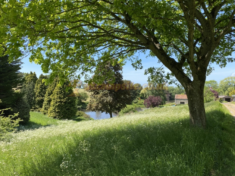 Batcombe Vale Campsite And Camping