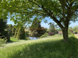 Batcombe Vale Campsite And Camping