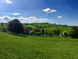 Batcombe Vale Campsite And Camping