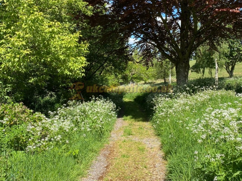 Batcombe Vale Campsite And Camping