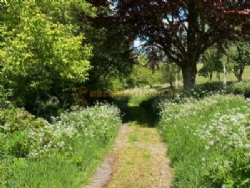 Batcombe Vale Campsite And Camping