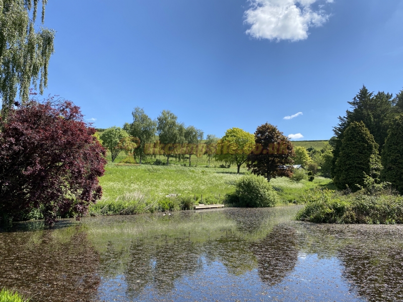 Batcombe Vale Campsite And Camping