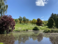 Batcombe Vale Campsite And Camping