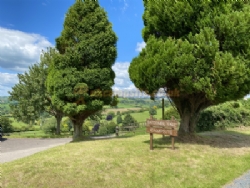 Batcombe Vale Campsite And Camping