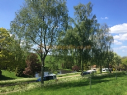 Batcombe Vale Campsite And Camping
