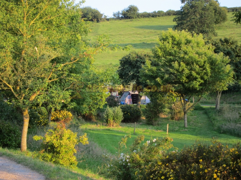 Batcombe Vale Campsite And Camping