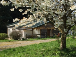 Batcombe Vale Campsite And Camping