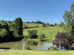 Batcombe Vale Campsite And Camping