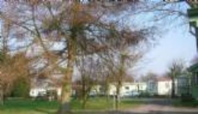 Beeches Caravan Park