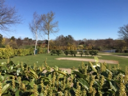 Homestead Lake Park