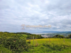 Moor Wood Campsite