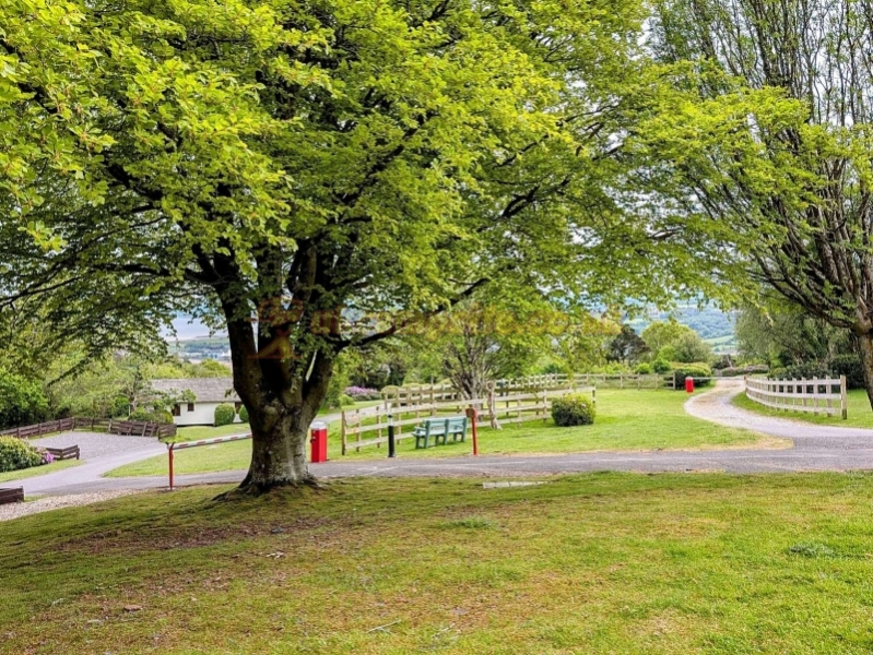 Moor Wood Campsite