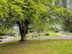 Moor Wood Campsite
