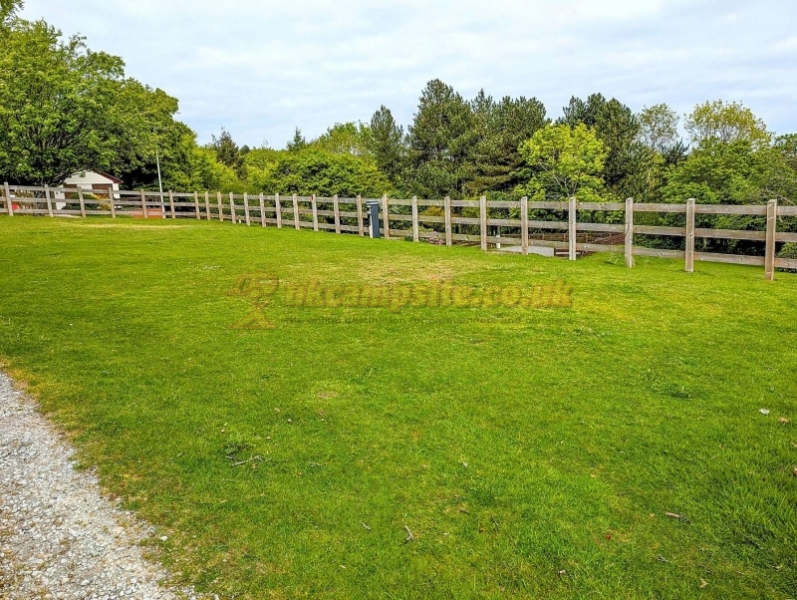 Moor Wood Campsite